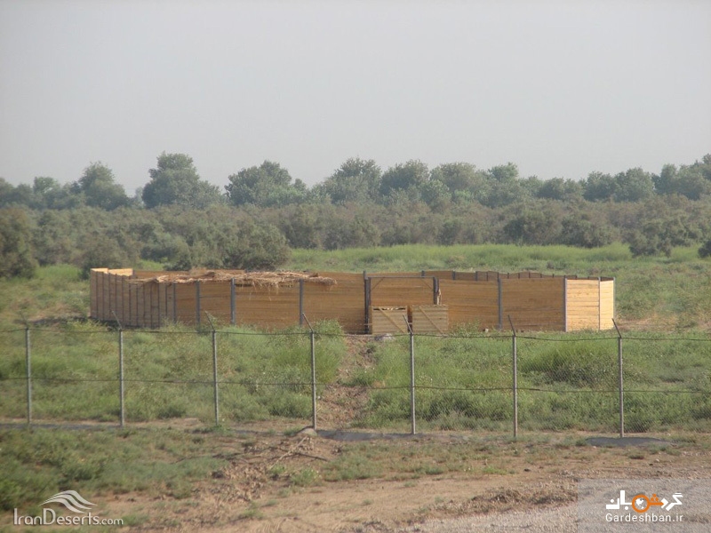منطقه حفاظت شده كرخه در استان خوزستان/تصاویر