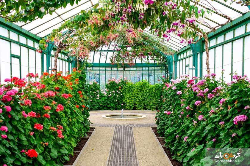 گلخانه سلطنتی لایکن در بروکسل/تصاویر
