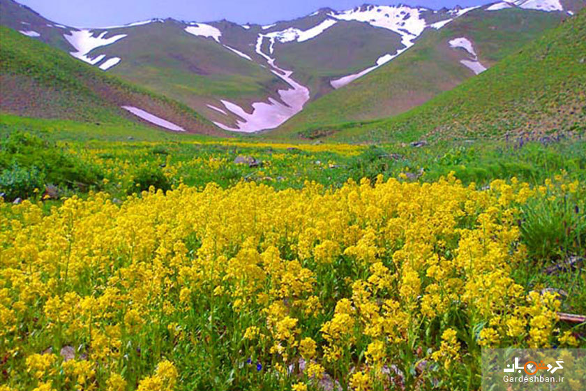 قارقالان منطقه‌ای کوهستانی، ییلاقی و زیبا در زنجان/تصاویر