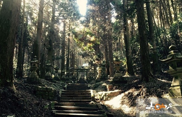 تونلی هشت ضلعی از جاذبه‌های اسرارآمیز ژاپن/عکس