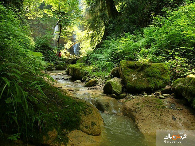 جنگل انجیلی و آبشار ولیلا در استان مازندران
