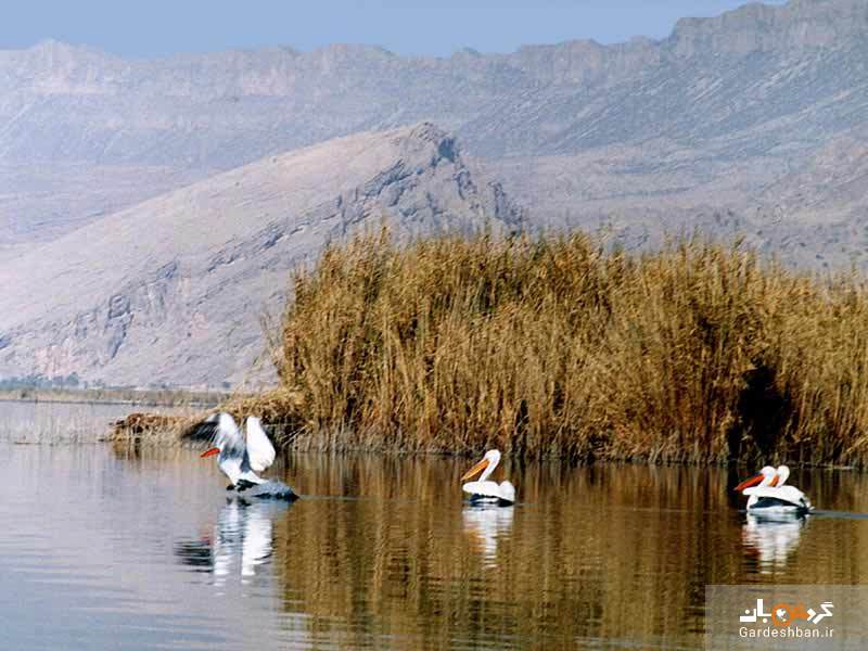 دریاچه پریشان یا فامور در شهرستان کازرون/تصاویر