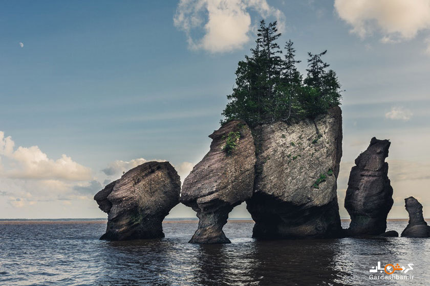صخره های هوپ ول در کانادا+عکس