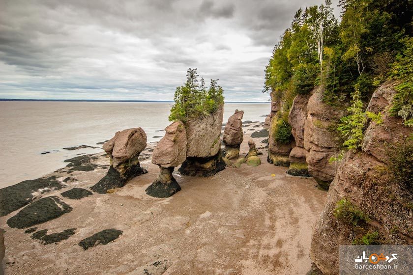صخره های هوپ ول در کانادا+عکس