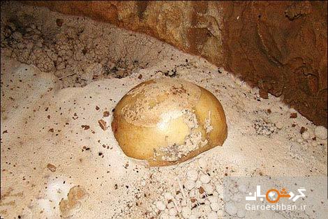 دومین غار عمیق ایران در منطقه گالیکش استان گلستان/عکس