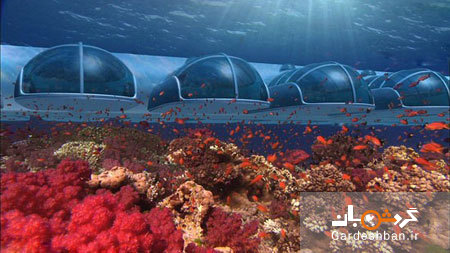10 مورد از زیباترین هتل های زیردریایی جهان/تجربه هیجان انگیز زندگی در زیر آب+تصاویر