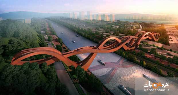 پل گره شانس با طراحی عجیب در چین/عکس