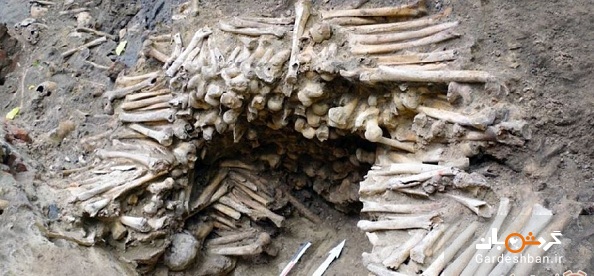 دیواری از استخوان در زیر کلیسای جامع بلژیک/عکس