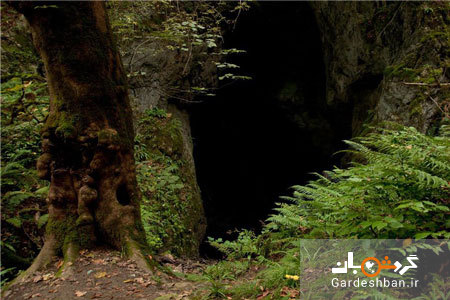 غار آویشو در ماسال یکی از شگفت انگیزترین غارهای ایران/عکس