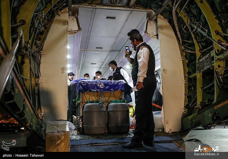 انتقال تنها دلفین برج میلاد به کیش +تصاویر