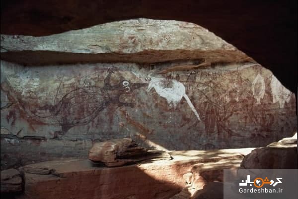 عکس/ کشف نقاشی زیر خاکی با قدمت ۲۰ هزار ساله