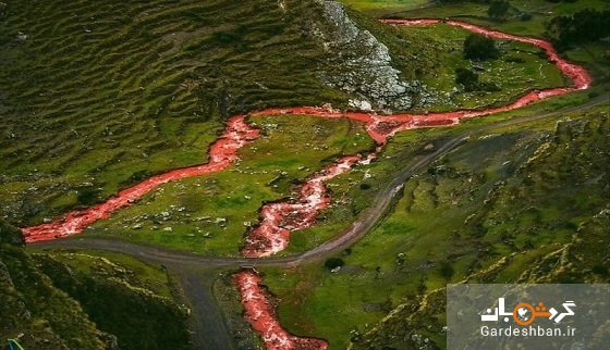 رودخانه سرخ؛ رودخانه ای به رنگ خون در پرو /عکس