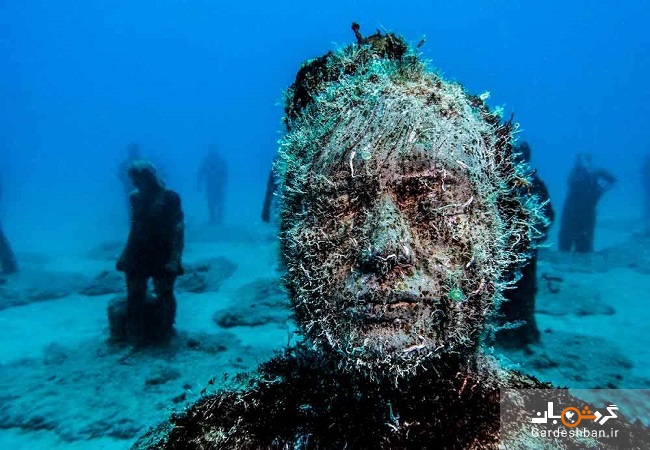 موزه اقیانوس اطلس، مکانی رویایی در زیر آب+تصاویر