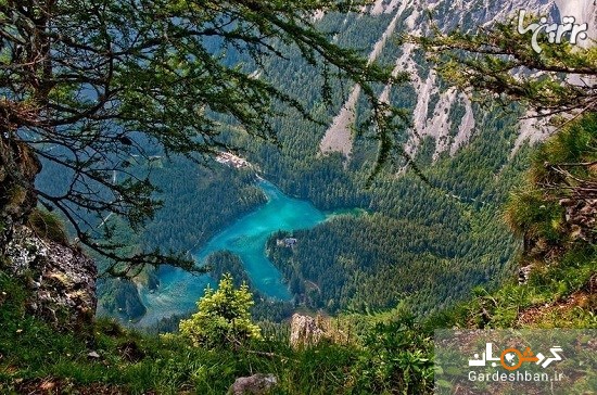 دریاچه سبز اتریش؛پارکی که تابستان ها دریاچه می شود/عکس