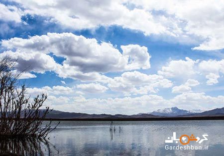 ترشاب؛ دریاچه ای زیبا در دل کویر کرمان+عکس