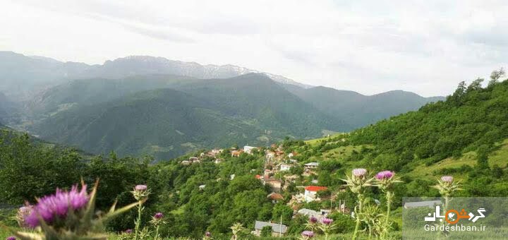 روستای سنام ؛ لمس طبیعت بکر و سر سبز مازندران/عکس