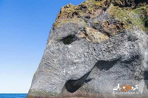 صخره ای شبیه به فیل در جزیره هیمی ایسلند/عکس