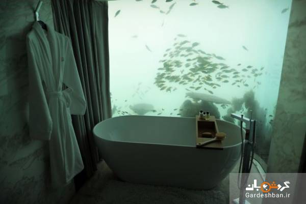 هتل های آکواریومی لوکس در دبی+عکس