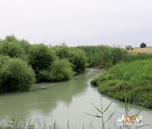 رودخانه شاوور؛ از قدیمی ترین رودخانه های ایران در خوزستان/عکس