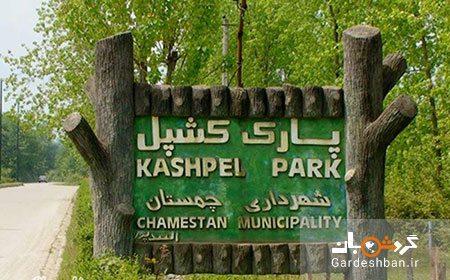 پارک جنگلی کشپل؛ جاذبه گردشگری منحصربفرد مازندران+عکس