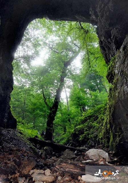 غار آویشوی؛ منطقه ای بکر در گیلان با قدمت 75 میلیون ساله/عکس