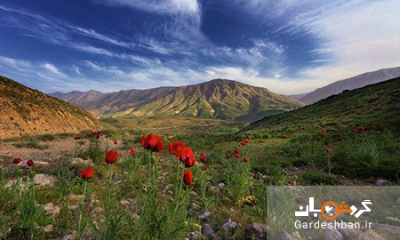 طبیعت زیبای دشت لار؛ بزرگ ترین دره ایران/عکس