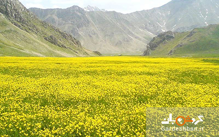 طبیعت زیبای دشت لار؛ بزرگ ترین دره ایران/عکس
