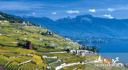 لاواکس؛ منطقه ای زیبا و حیرت انگیز در سوئیس+تصاویر
