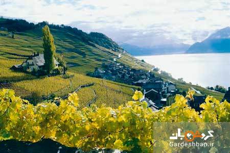لاواکس؛ منطقه ای زیبا و حیرت انگیز در سوئیس+تصاویر