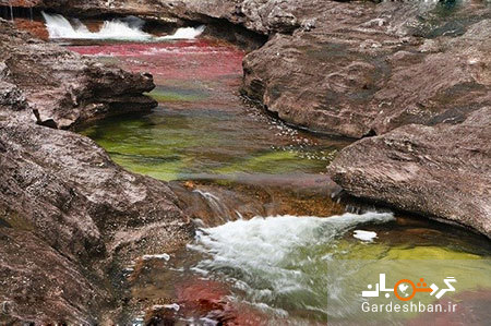 رودخانه رنگین کمان کانو کریستال؛ زیبا ترین رودخانه جهان/عکس