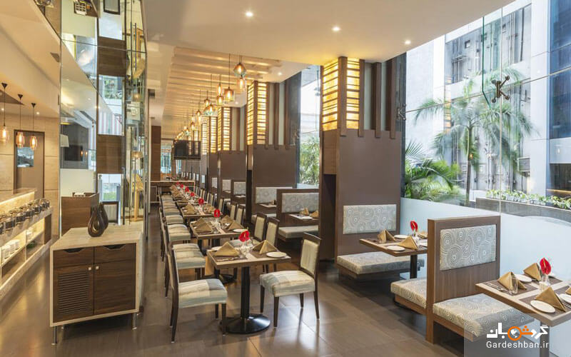 هتل ریگال بای تونگا؛ اقامت در نزدیکی مراکز تفریحی و خرید بمبئی/عکس