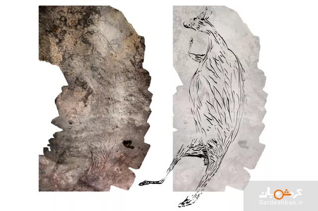 تصویر یک کانگورو ؛ قدیمی‌ترین سنگ‌نگاره استرالیا