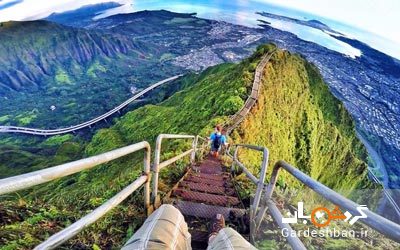 پله های هایکو؛ جاذبه هیجان انگیز و زیبای هاوایی/عکس
