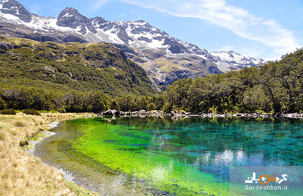 پاک‌ ترین و تمیز ترین دریاچه جهان کجاست؟ / شفاف ترین آب را در نیوزلند پیدا می‌کنید