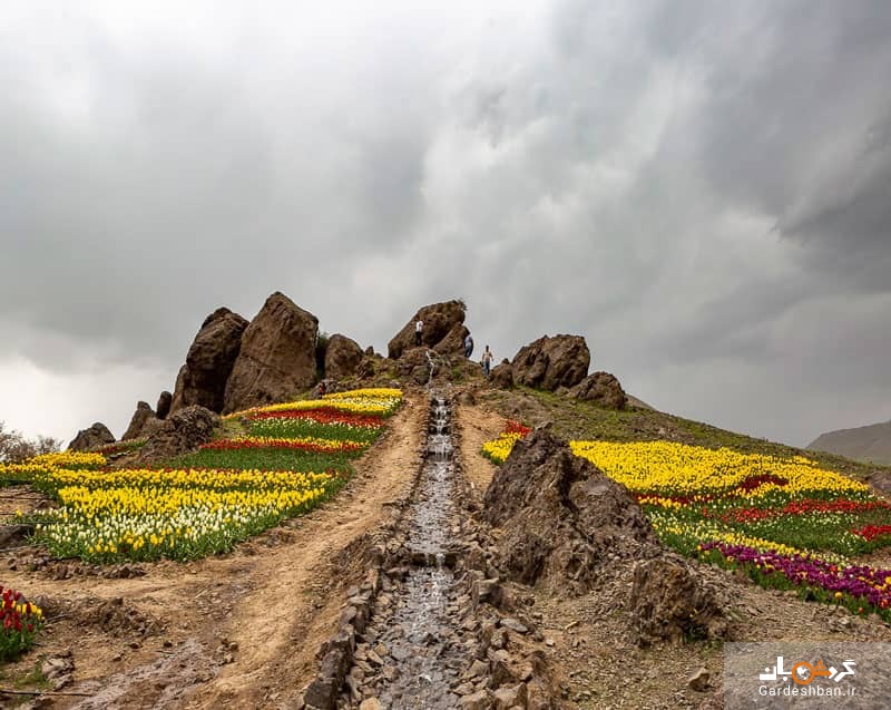 روستای کُندر؛دشتی رویایی از گل ها در اطراف تهران+تصاویر
