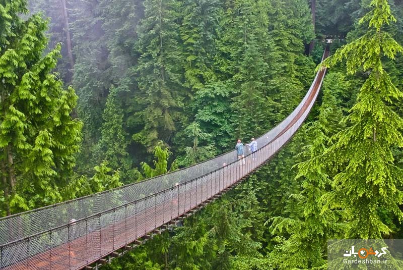 پل معلق کاپیلانو؛ از پرطرفدارترین جاذبه‌های گردشگری ونکوور/عکس