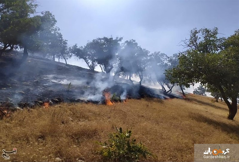 آتش دوباره به جان جنگل‌های دنا افتاد! + تصاویر