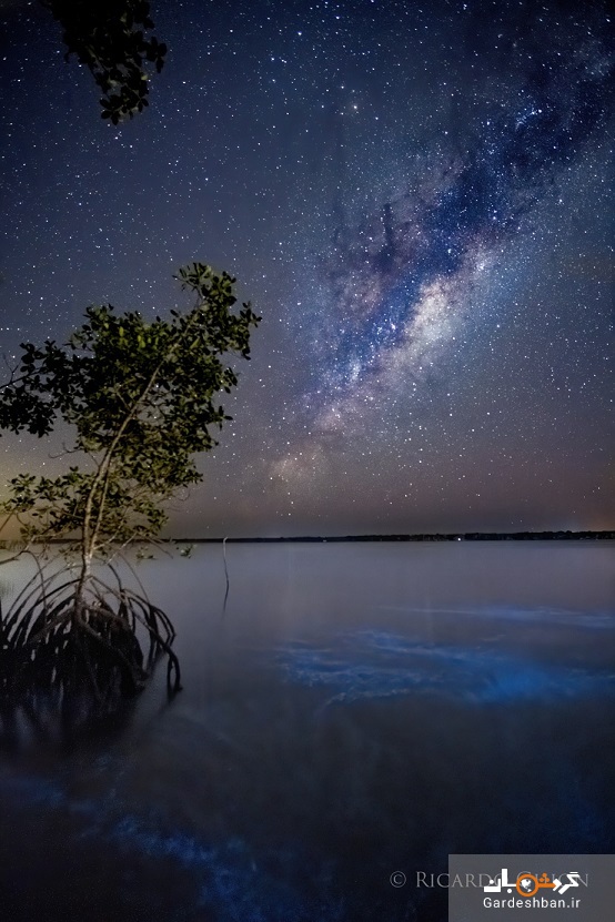 کهکشان راه شیری و آب‌های درخشان برزیل در یک قاب