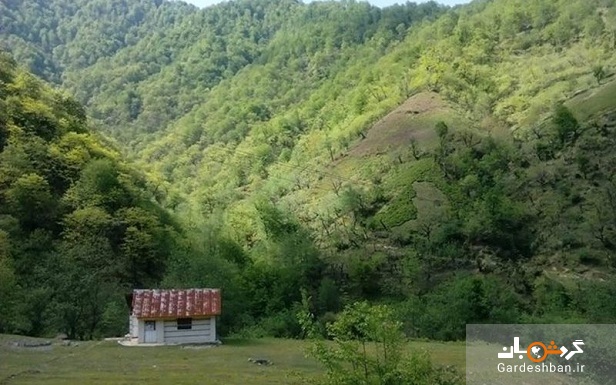 فوشه؛ روستای خوش آب و هوای گیلان/عکس