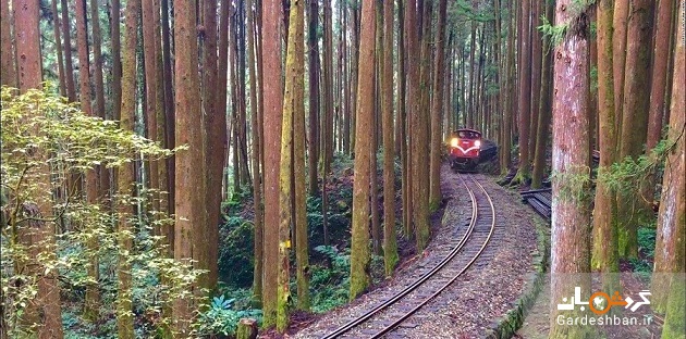 راه‌آهن کوهستانی 106 ساله در منطقه آلیشان تایوان/عکس