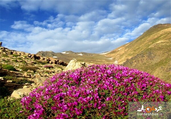 روستای کوهشاه ریگان؛ نگین گردشگری در دل کویر/عکس