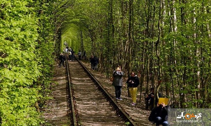 تونل عشق اوکراین از رویایی‌ترین مناطقی که می توان تصور کرد!/عکس