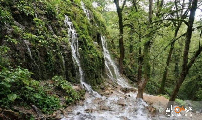 جنگل سنگده؛زیبایی حیرت انگیز جنگل و آبشار در مازندران/تصاویر