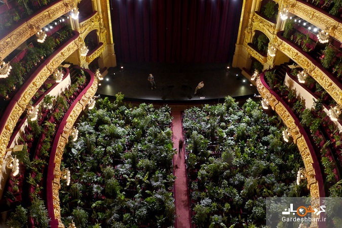 کنسرت گیاهان ؛ خانه اپرای بارسلونا با یک کنسرت برای ۲۲۹۲ گیاه افتتاح شد + تصاویر