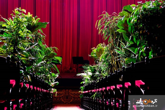 کنسرت گیاهان ؛ خانه اپرای بارسلونا با یک کنسرت برای ۲۲۹۲ گیاه افتتاح شد + تصاویر