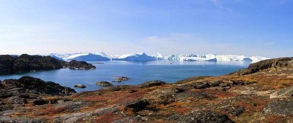 چرا قطب شمال خیلی سریعتر از سایر نقاط جهان گرم می شود؟