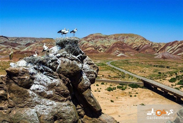 قلعه لک لک ها،شگفتی طبیعت شهرستان ماهنشان+ عکس