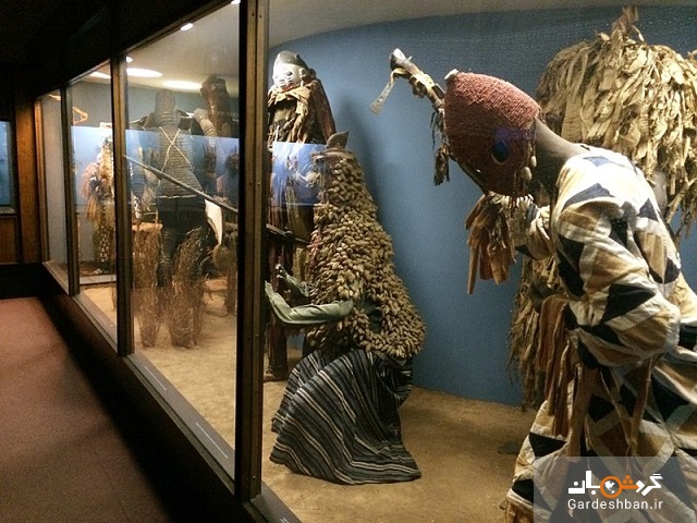استخوان‌های بزرگترین دایناسور جهان را در کدام موزه ببینیم؟