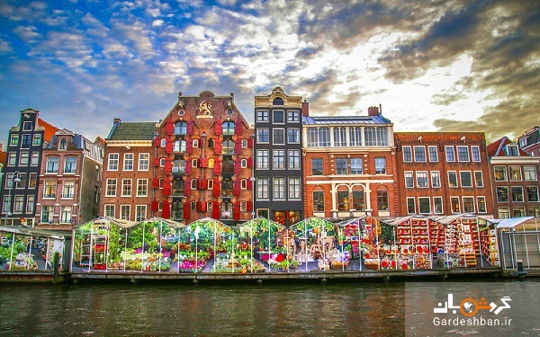 بازار گل زیبا و جذاب بلومن آمستردام+عکس