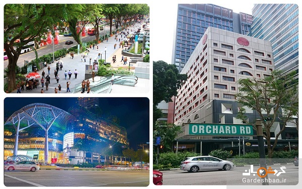 خیابان معروف اورچارد؛شاهرگ سنگاپور+عکس